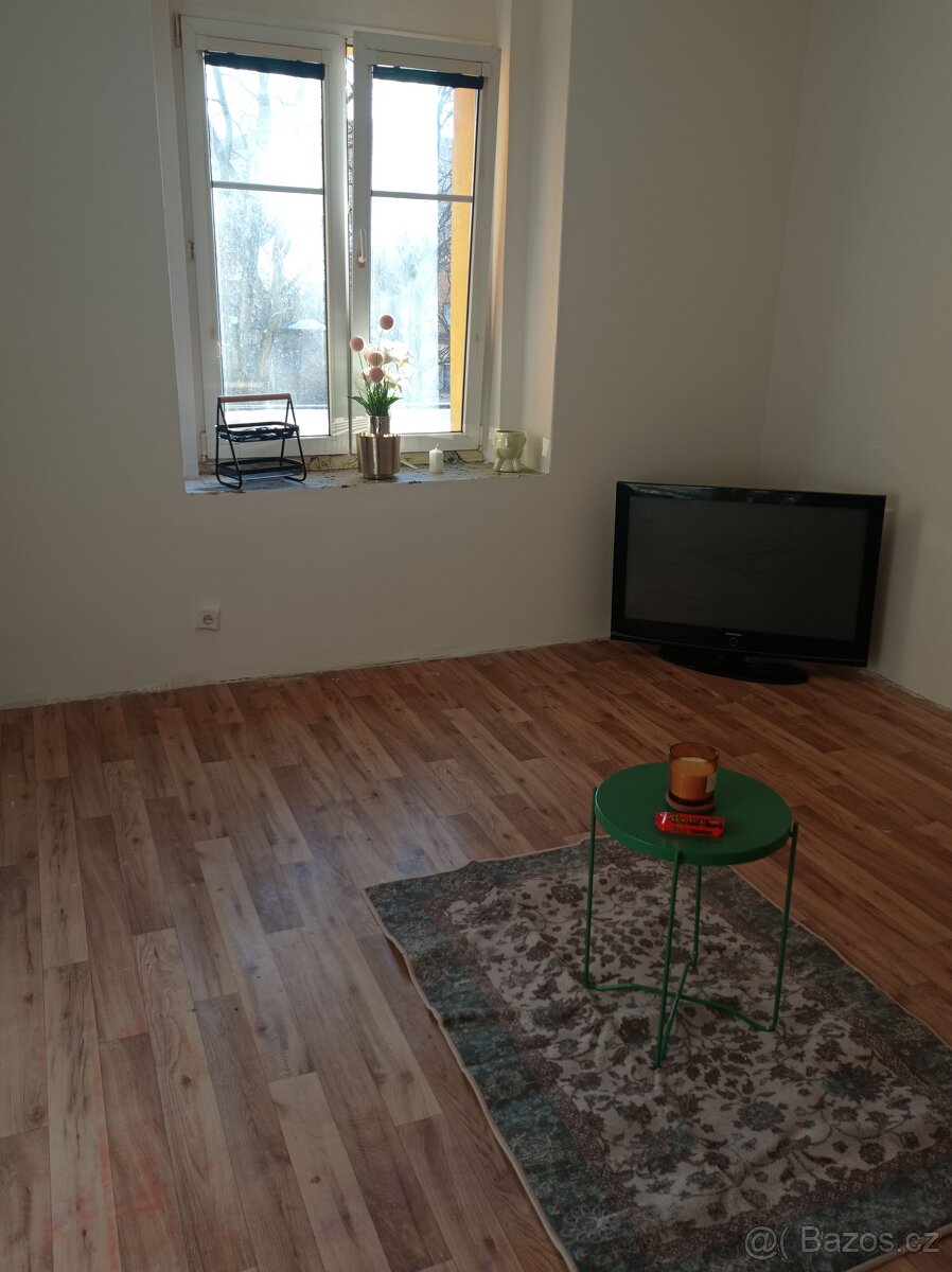 Pronájem, byt 1+1, 27 m, U Zámeckého parku 2004, Litvínov - - 2