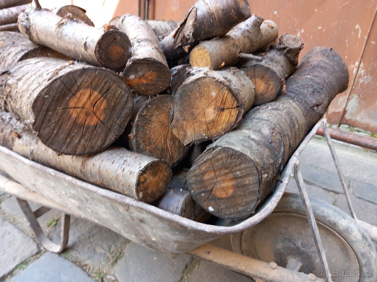 Dřevo na uzení - 2