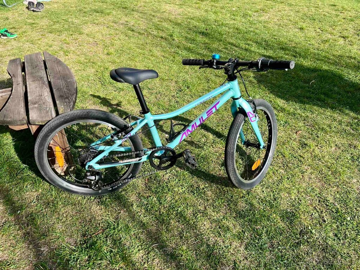 AMULET 20 Tomcat - 2