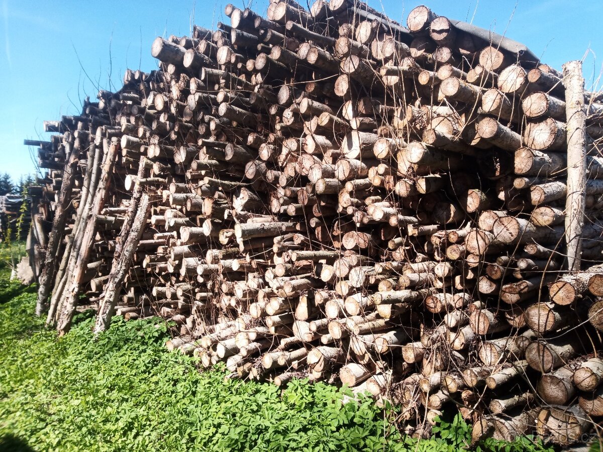 Palivové dřevo - 2