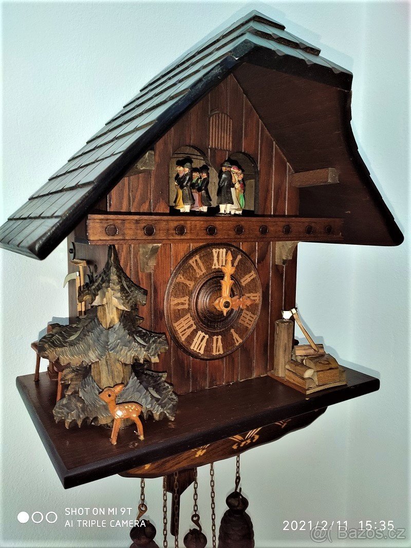 Velke, hraci kukacky, Schwarzwald... - 2