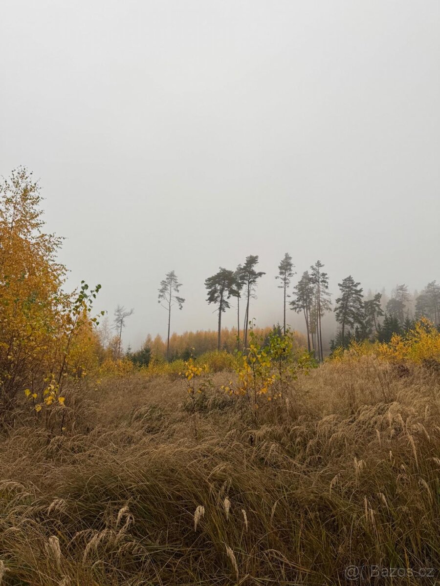 Prodej lesních pozemků k.ú. Úboč - 2