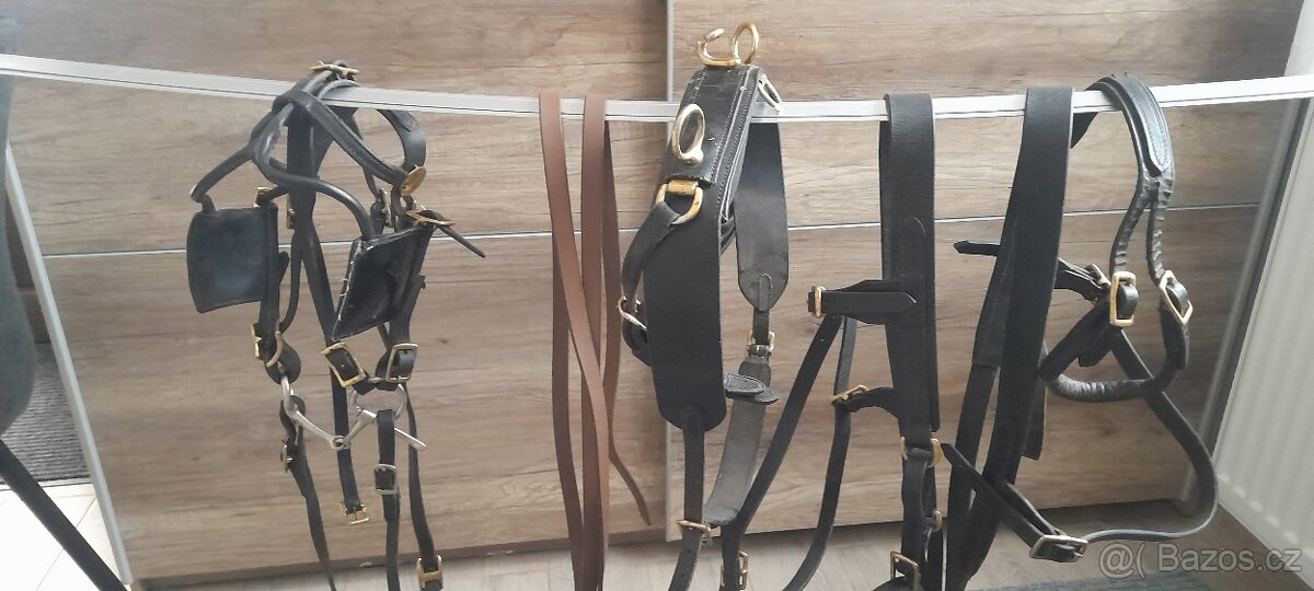 Postroj do sulky minihorse - 2