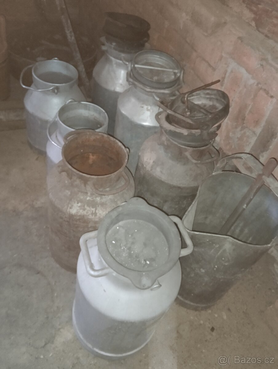 Bandaska na mléko - 2