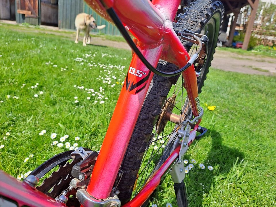 Pěkné kolo Author A-Matrix 26 - 2