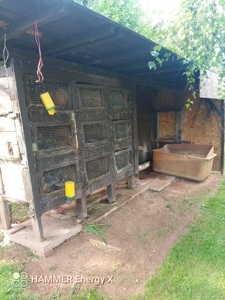 Kralikárna - 2