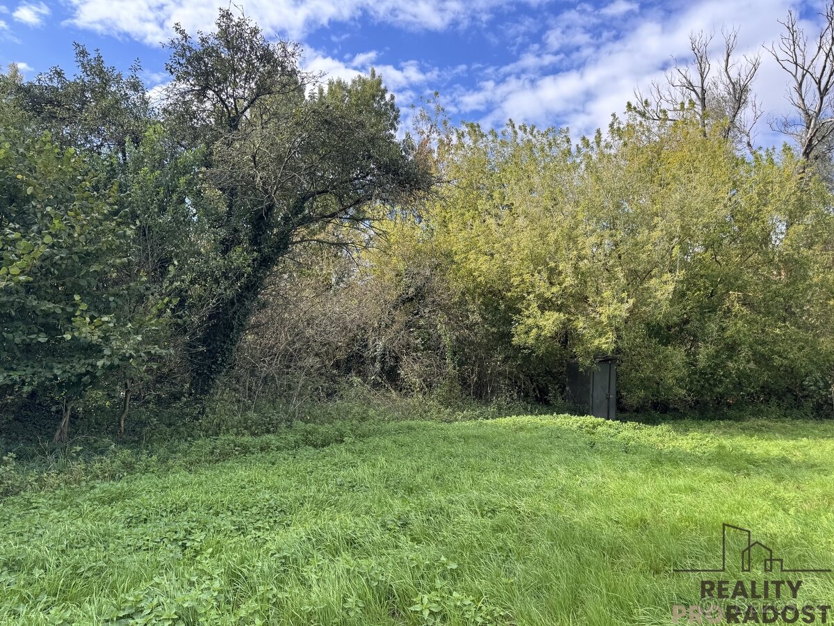 Prodej louky v k.ú. Rohatec u řeky Moravy - 2