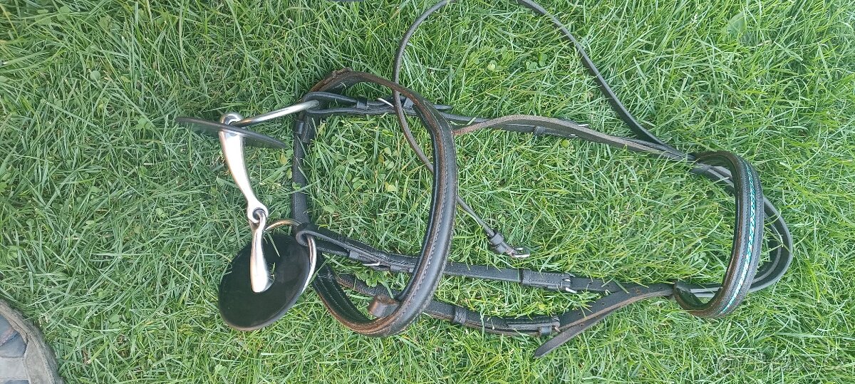 Anglická uzdečka vel. FULL - 2