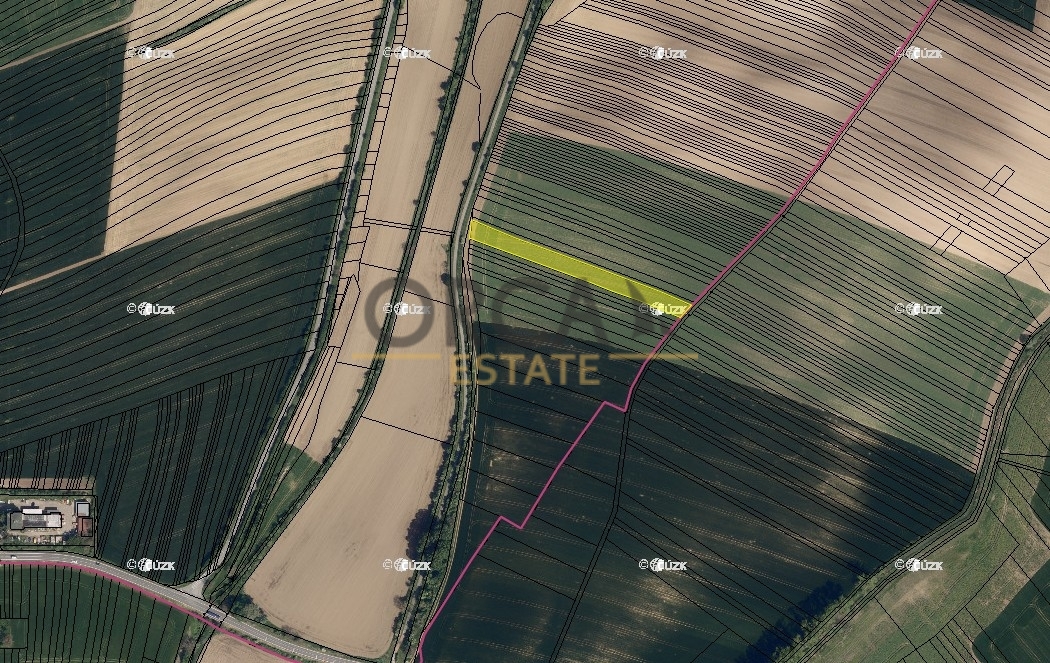 0,2 ha pozemku v k. ú. Ždánice - 2