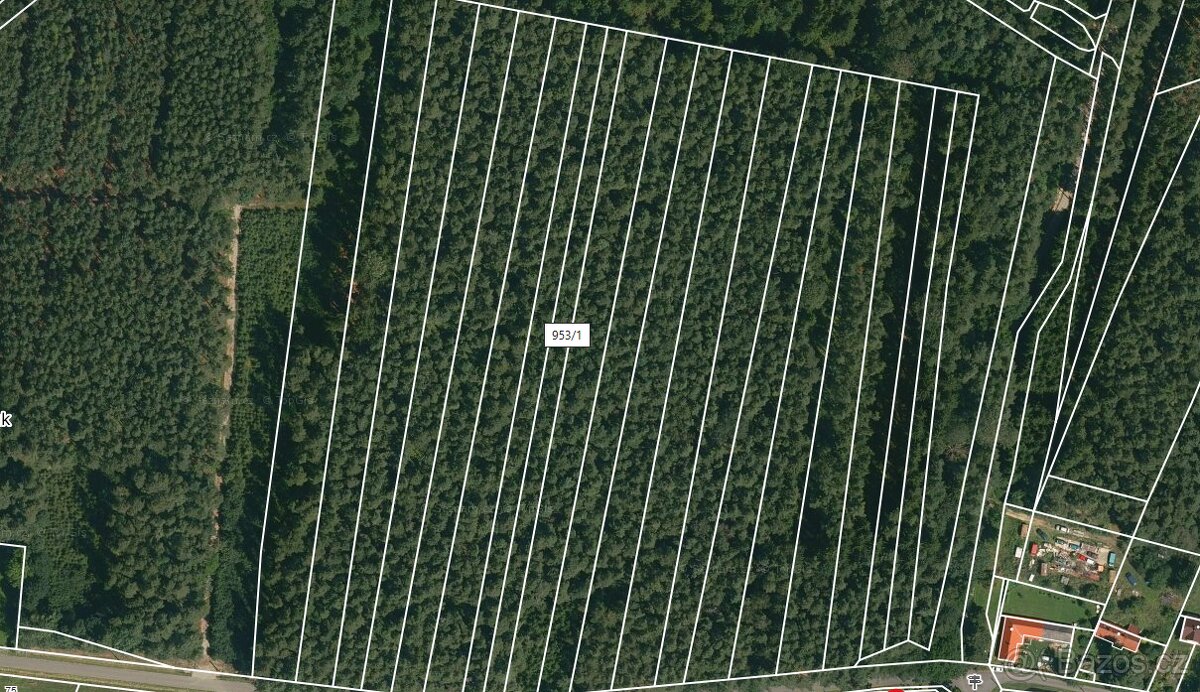 Prodej lesa Dražíč 2085m2 - 2