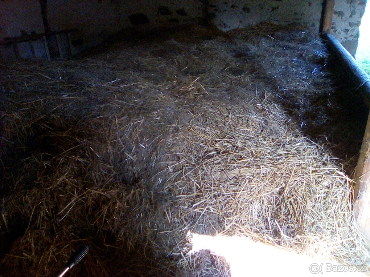 Zdarma Seno/ sláma - 2