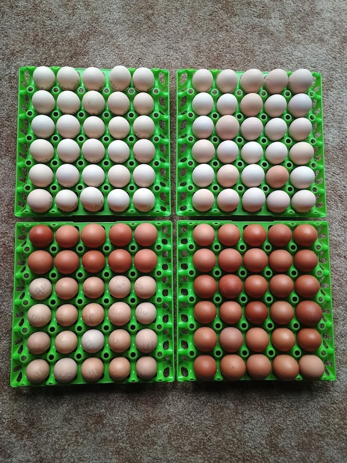 VONÉ MÍSTO V LÍHNI - 2