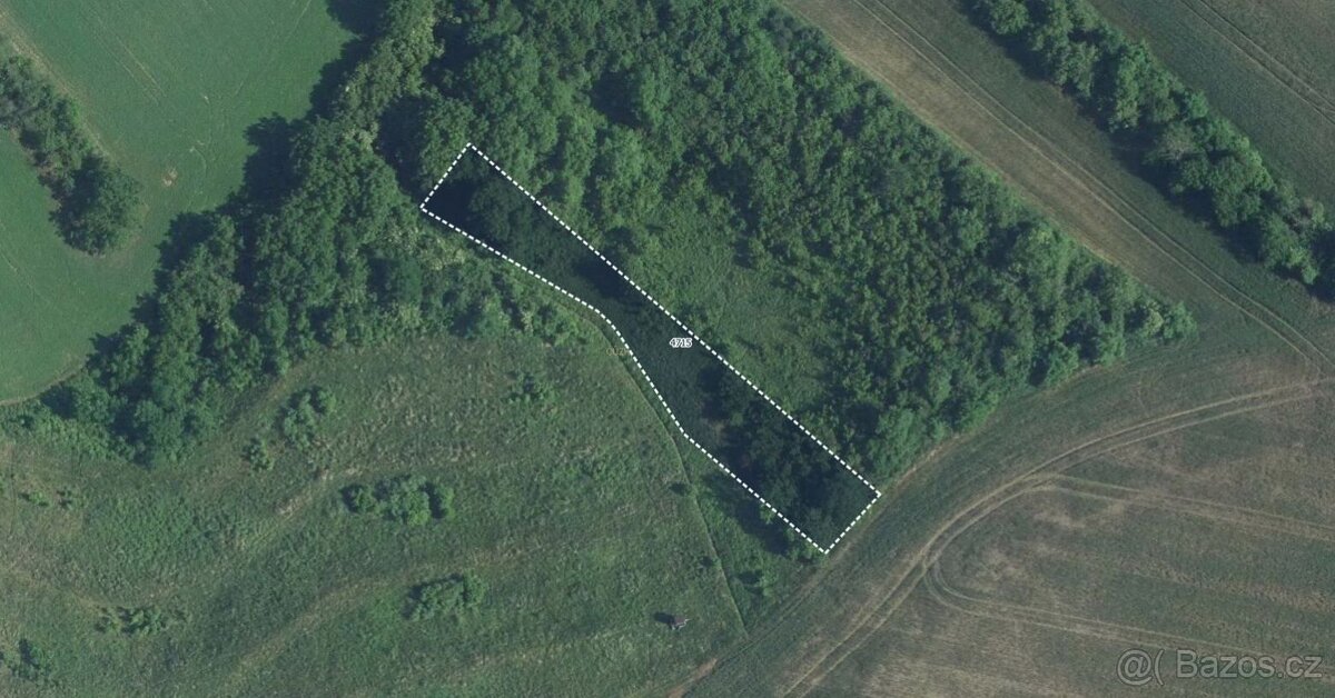 Zemědělská půda, prodej, Starovičky, Břeclav - 2