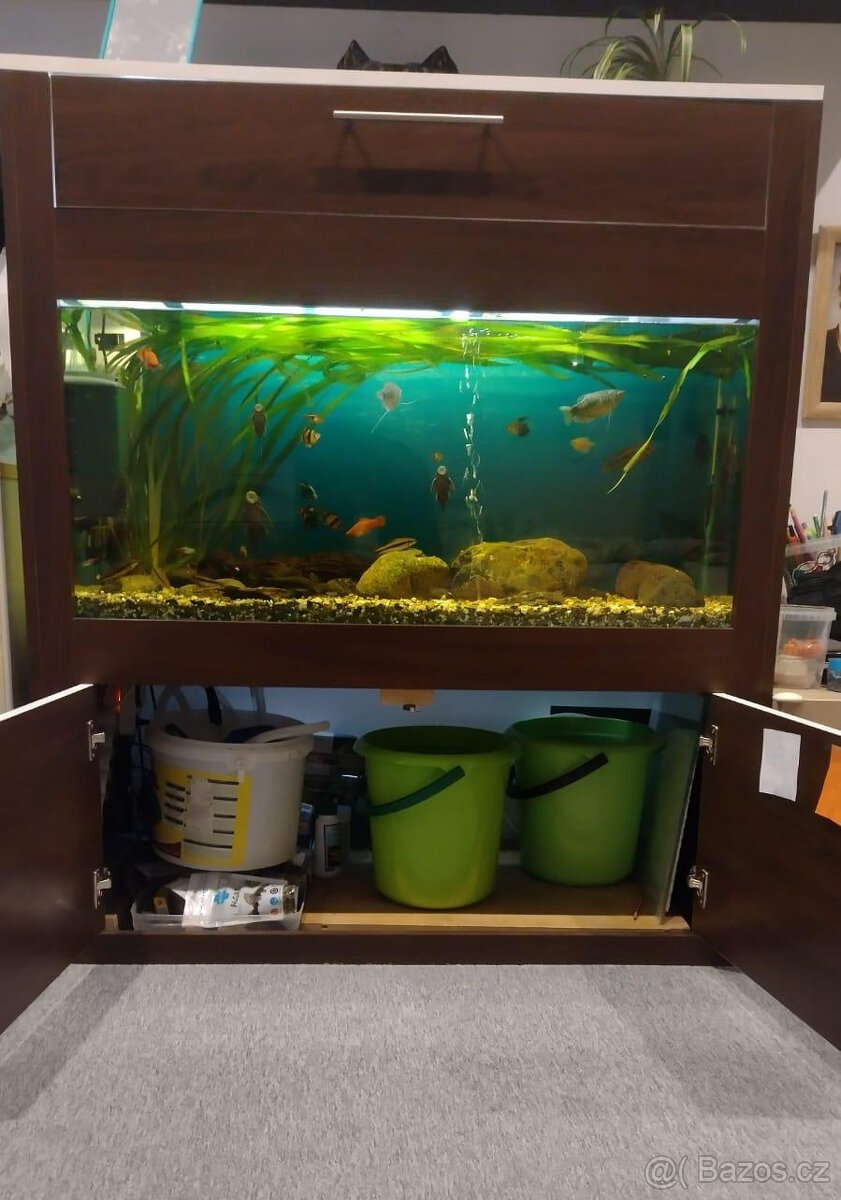 Akvárko 250 l - vestavný komplet s rybkami a vybavením - 2