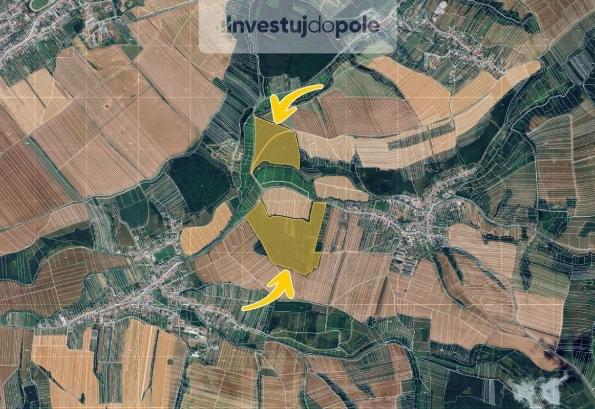 Prodej podílu 1/124 lesa 2 390 m², Částkov - 2