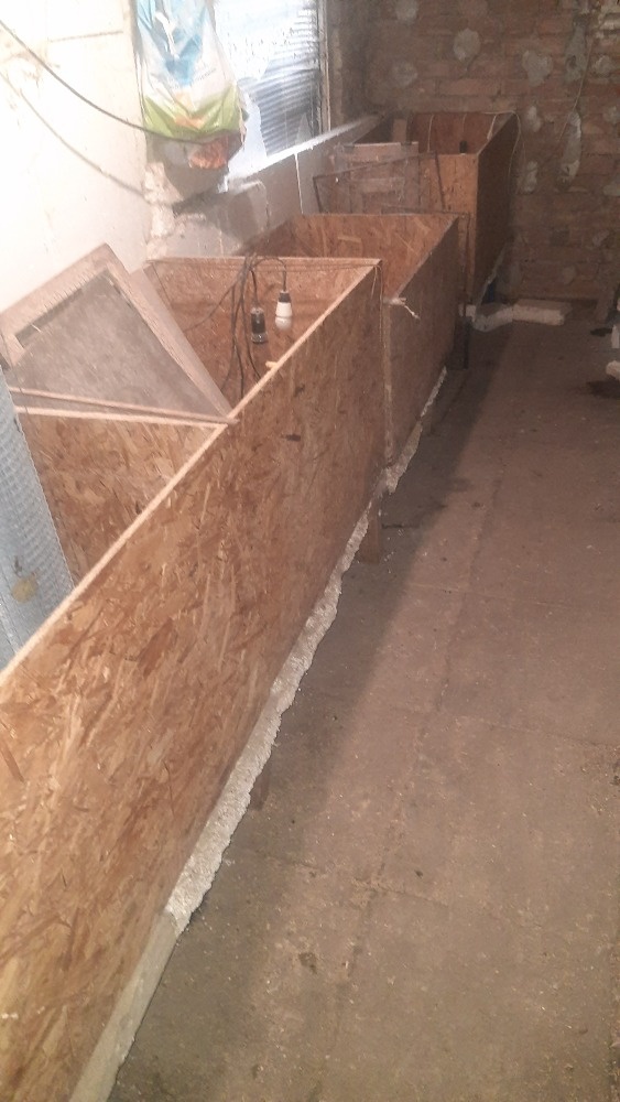 Zařízení pro chov křepelek - 2