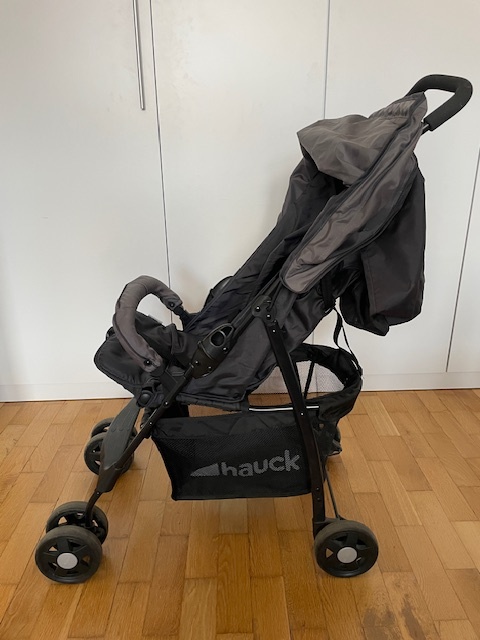 Golfový kočárek Hauck Sport Buggy - 2