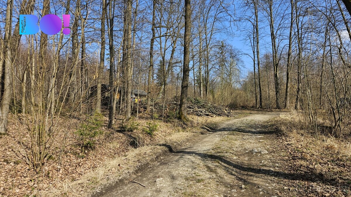 Prodej lesů, 55 558 m², Rybí - 2