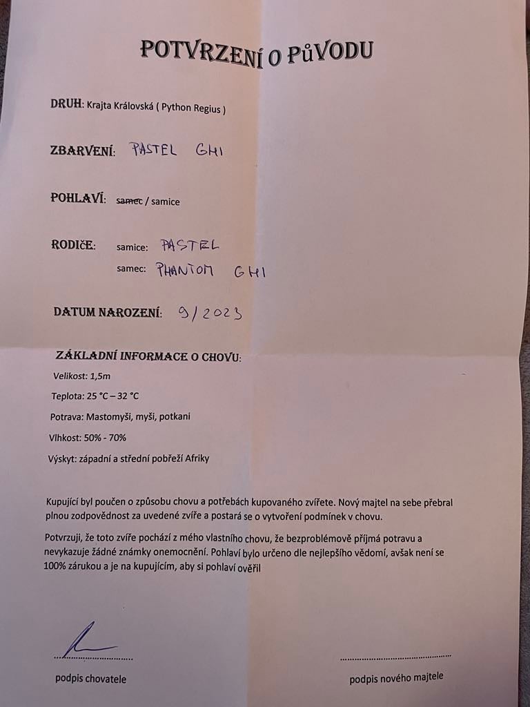 Krajta Královská - 2