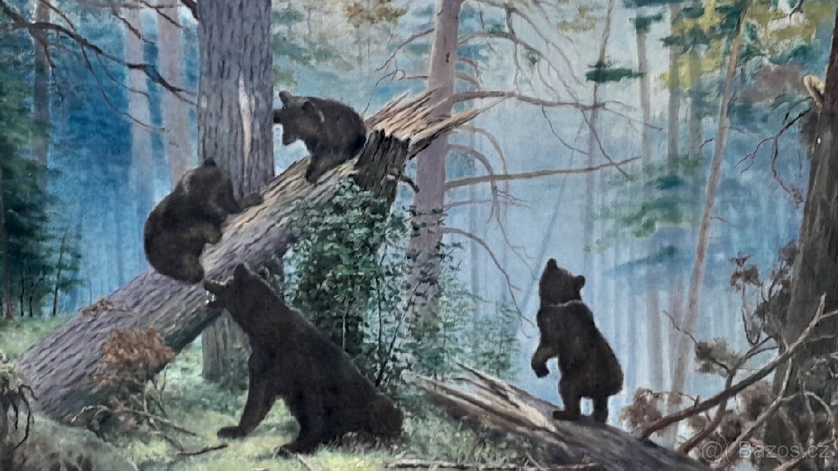 Obraz na plátně V.75×D.116cm, medvědí v lese - 2