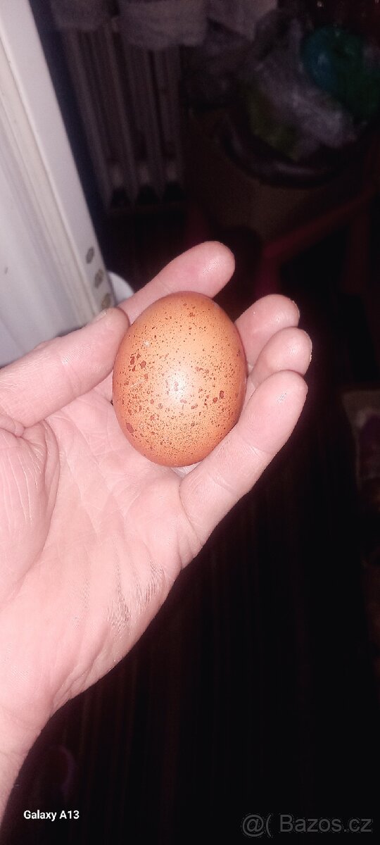 Domácí vajíčka - 2