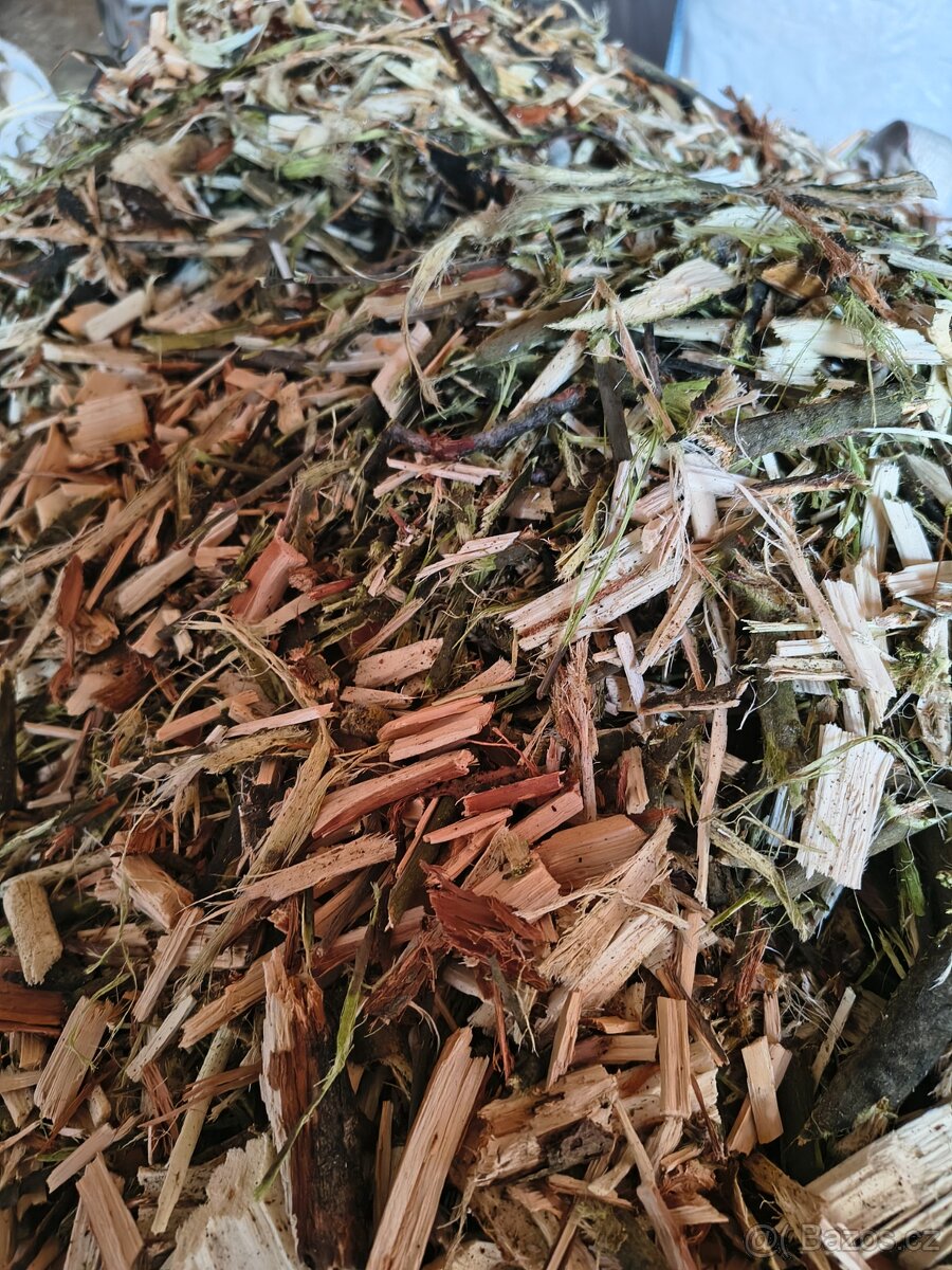 Štěpka do záhonu - 2