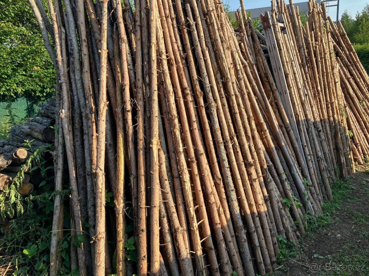 Dřevěné palisády - 2