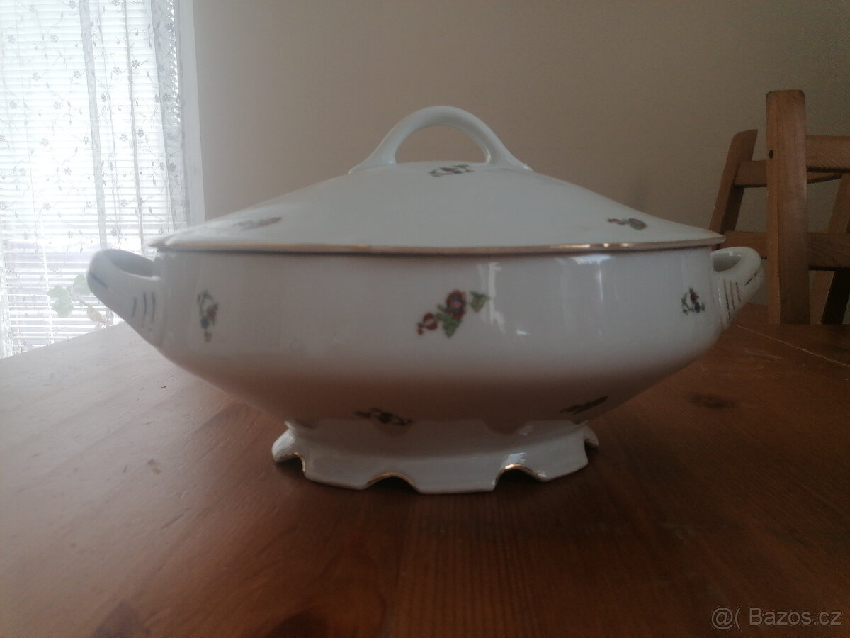 Terina MZ Stará Role - 2