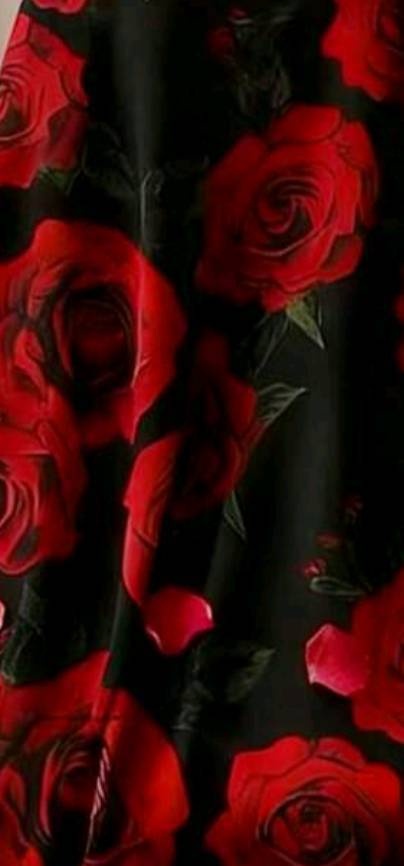 Elegantní nové šaty - 2