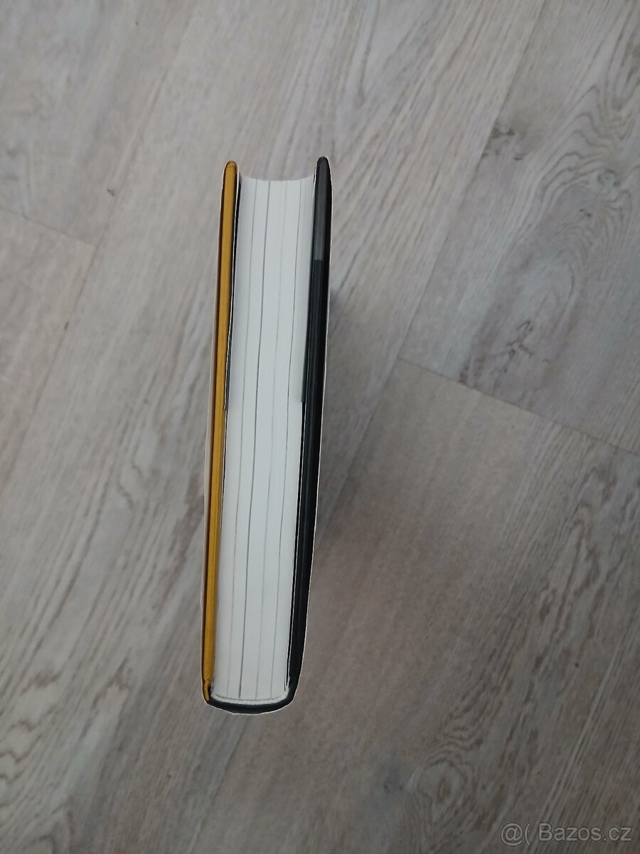 Posel dobrých zprav - 2