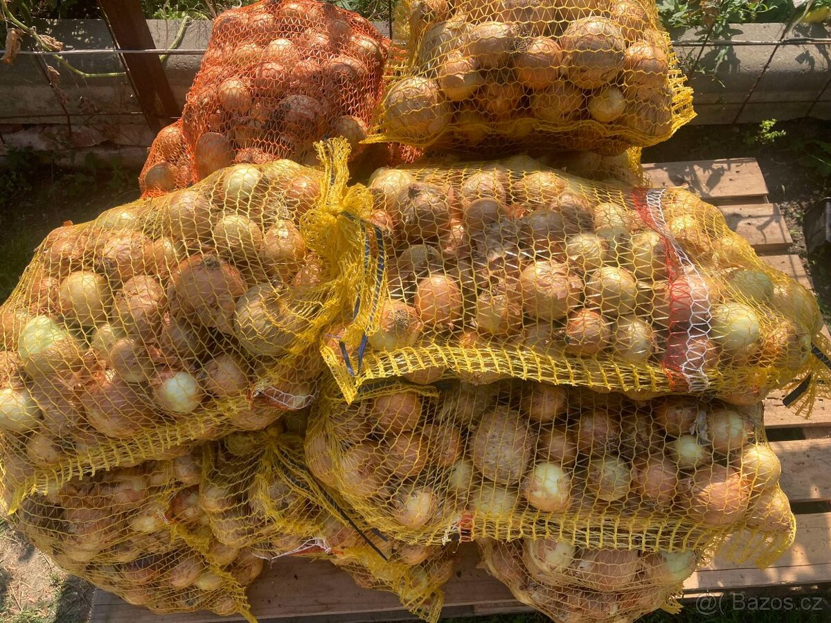 Přebytek cibule 6 kč/kg - 2