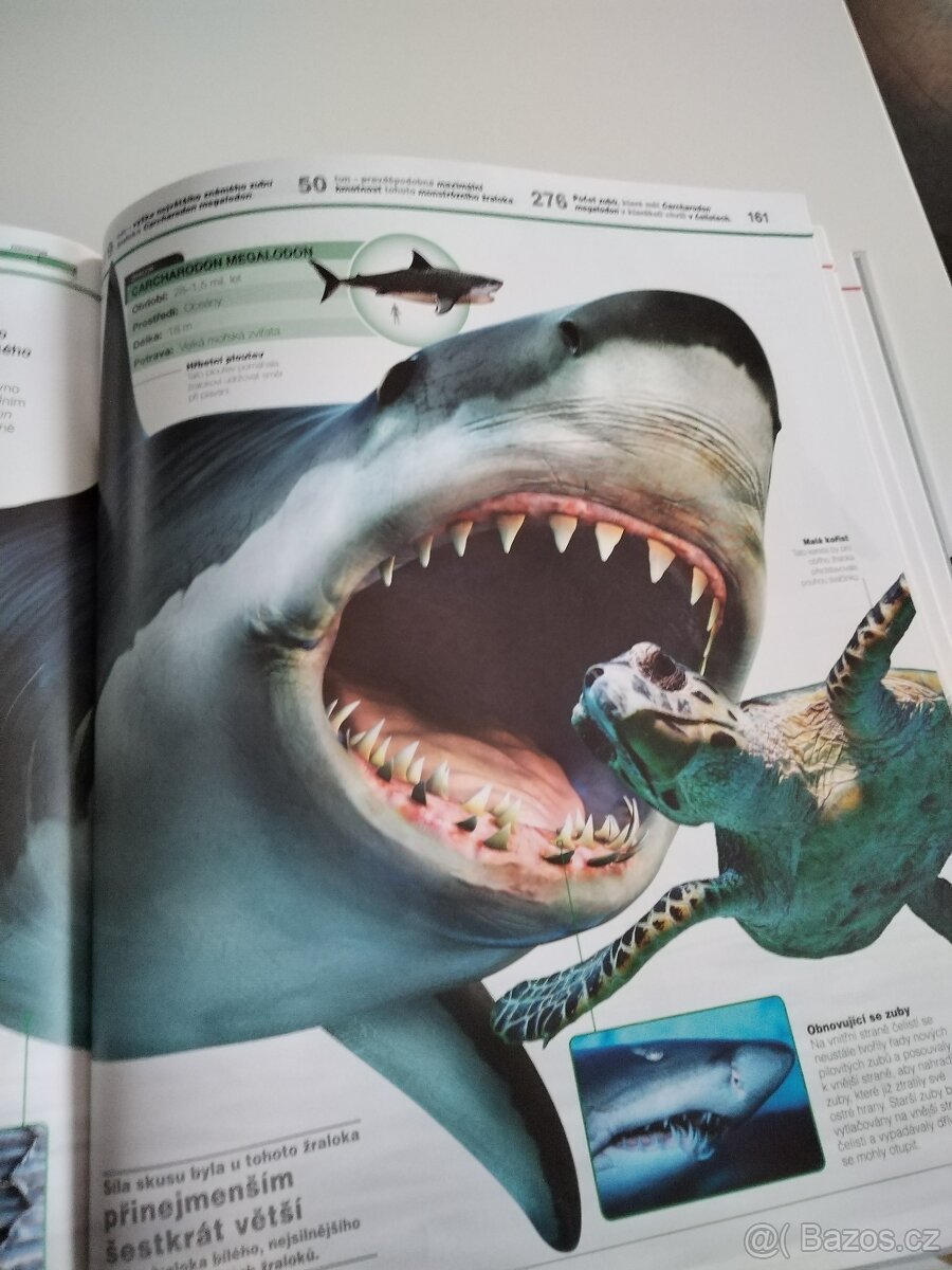 Dinosauři v kostce - 2