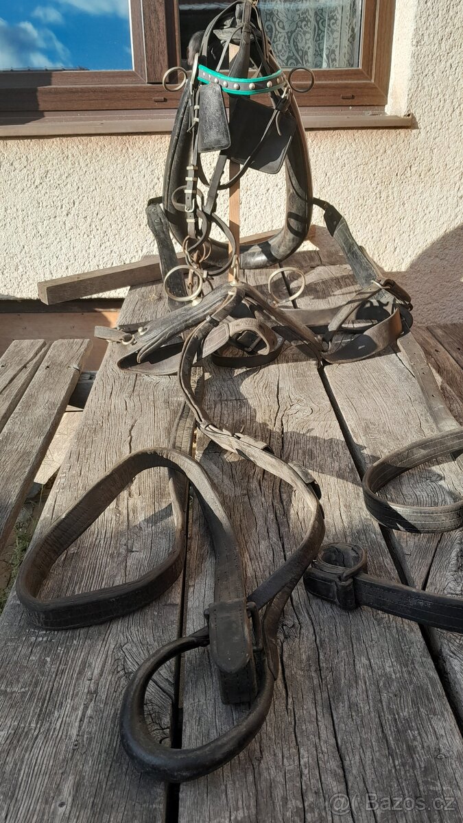 Kočárové postroje - 2