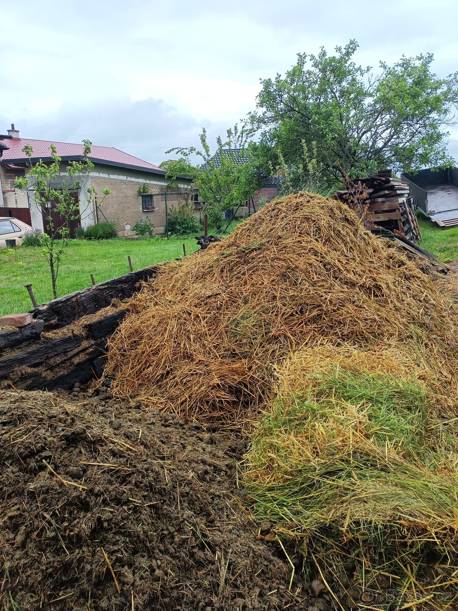 Koňský hnůj zadarmo - 2