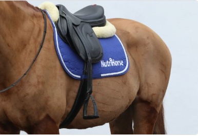 Sada Nutri Horse - 2