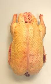 Kachna vykrmená - 2