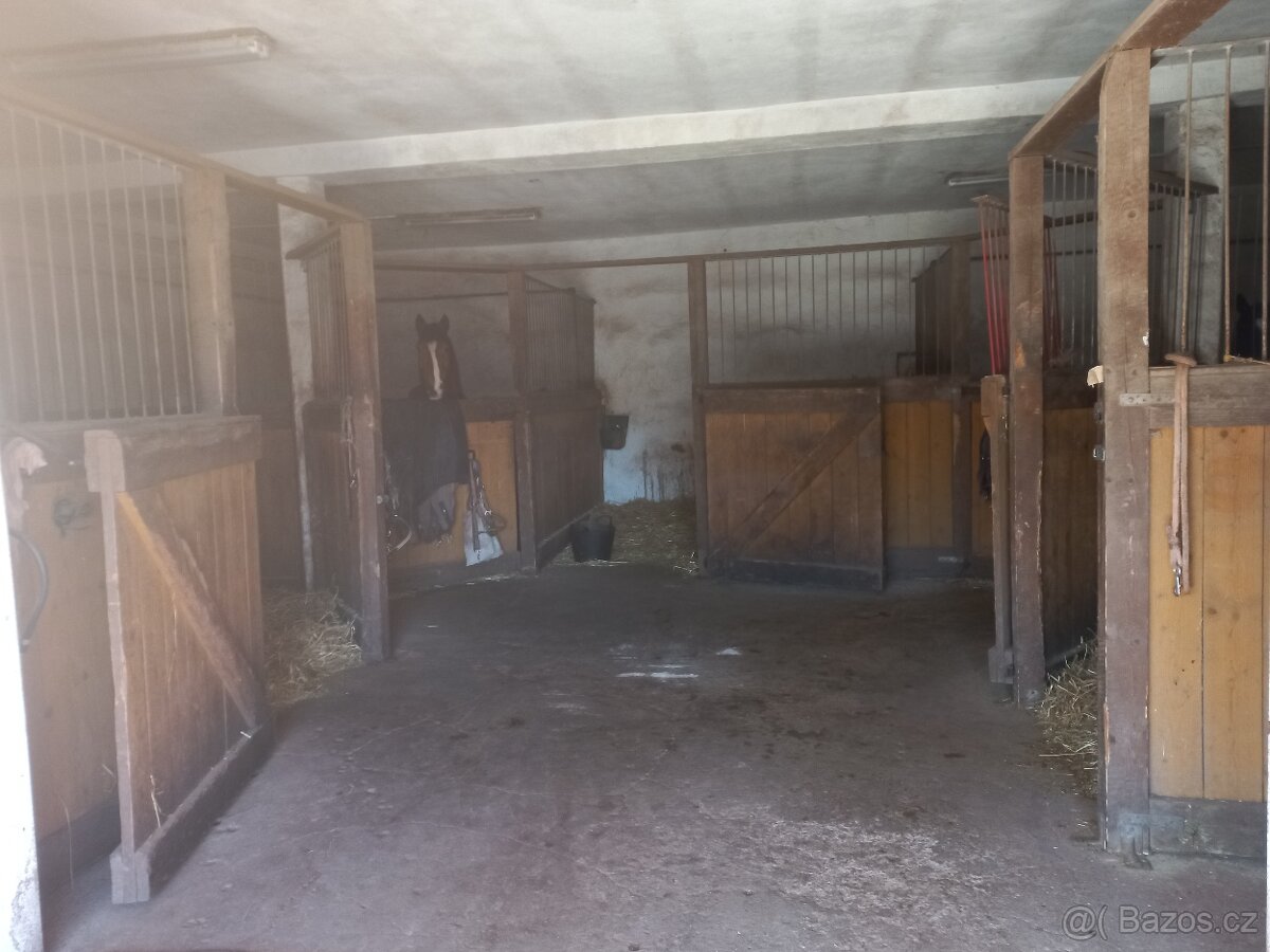 Hledám stajnika - 2