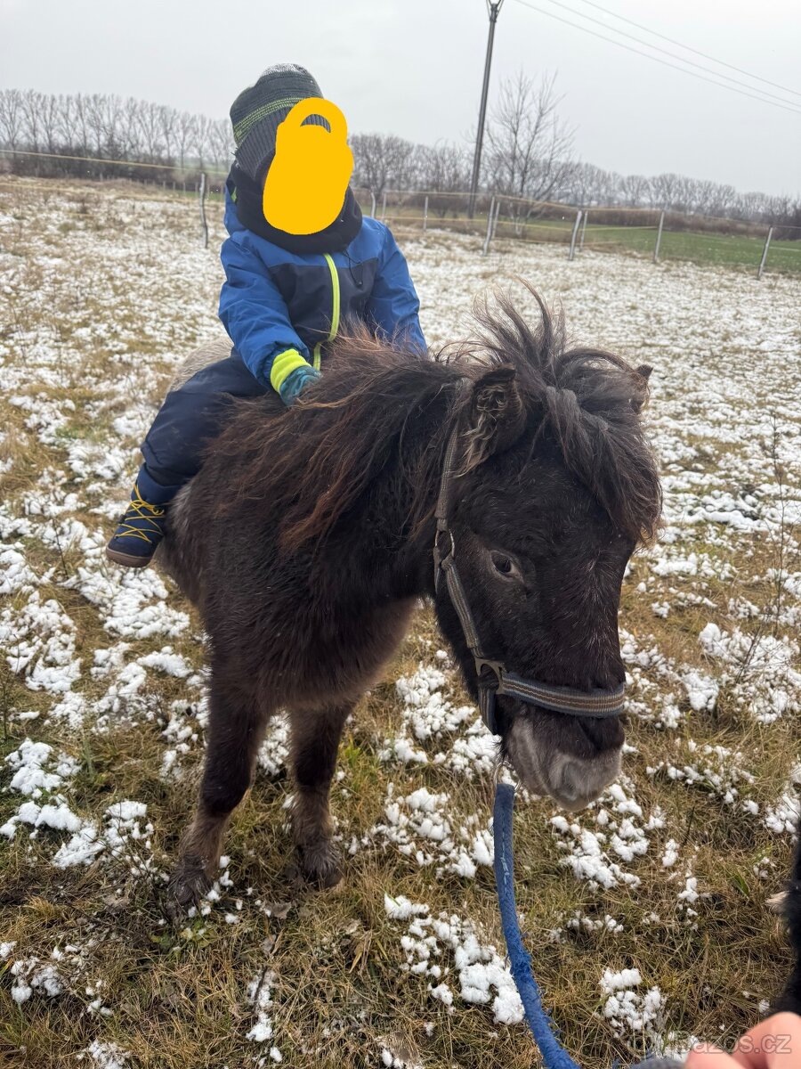 Pony k dětem - 2