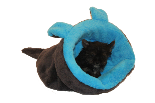 Pelíšek pro psy - 2