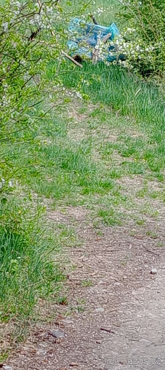 Pronájem pozemku - 2
