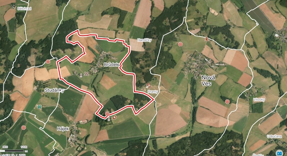 Prodej pozemku, 3000 m2, Brůdek u Všerub - 2