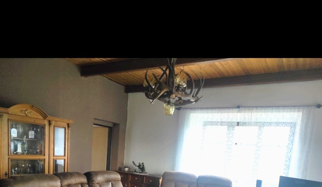 Lustr z paroží - 2