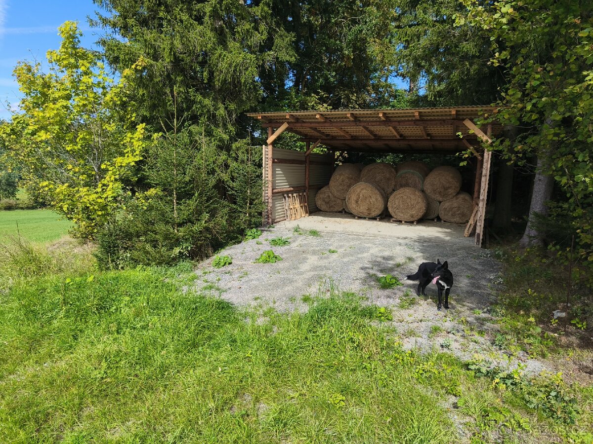 Ustájení koní - 2