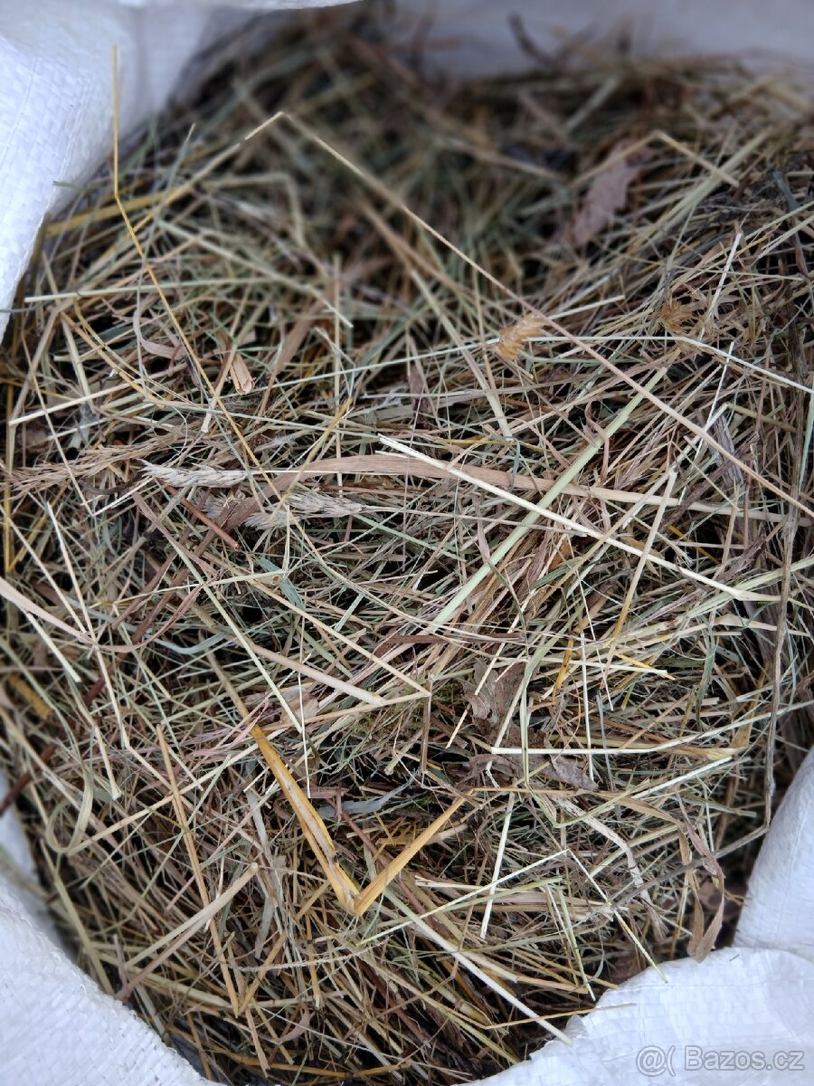 Kvalitní seno pro králíky a morčata - 2