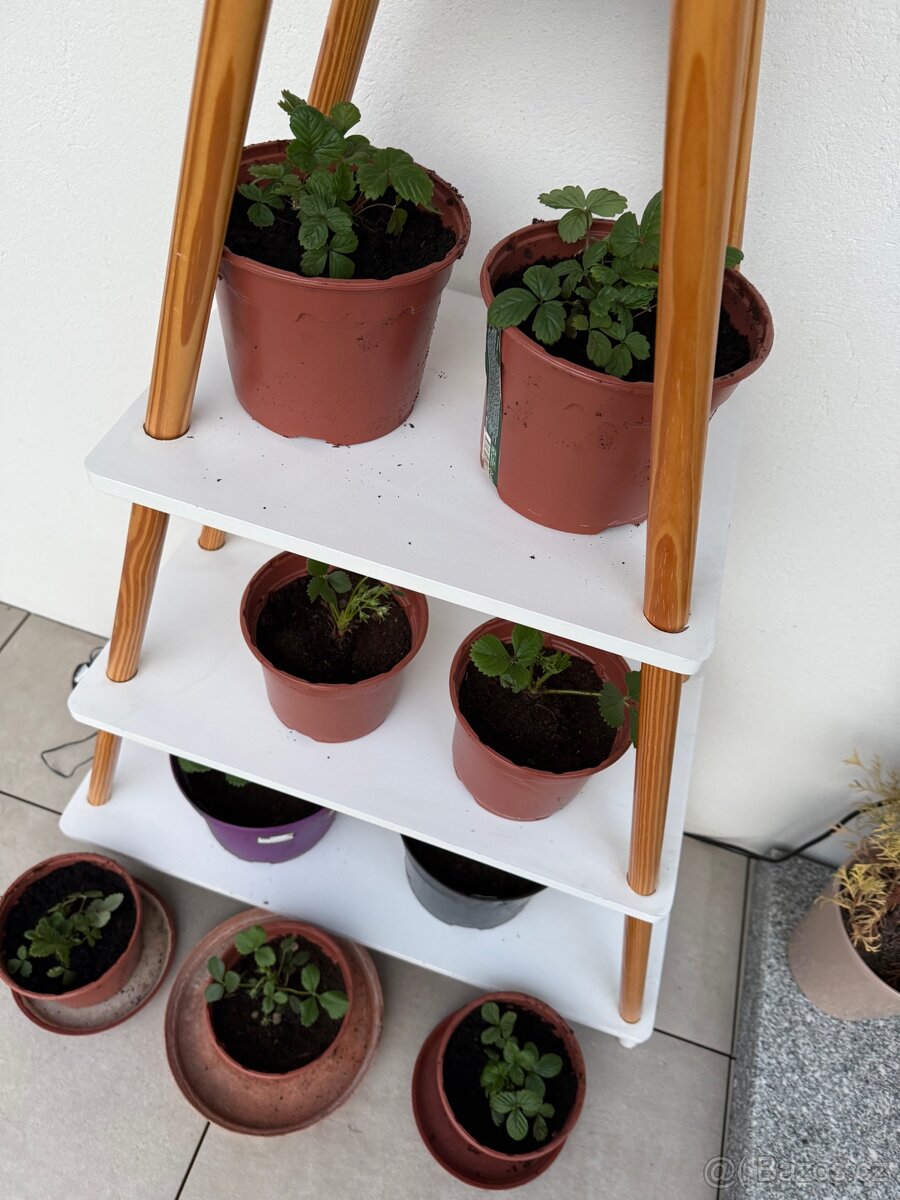 Prodám LIVARNO HOME Teepee – policový regál, bílý (4 police) - 2