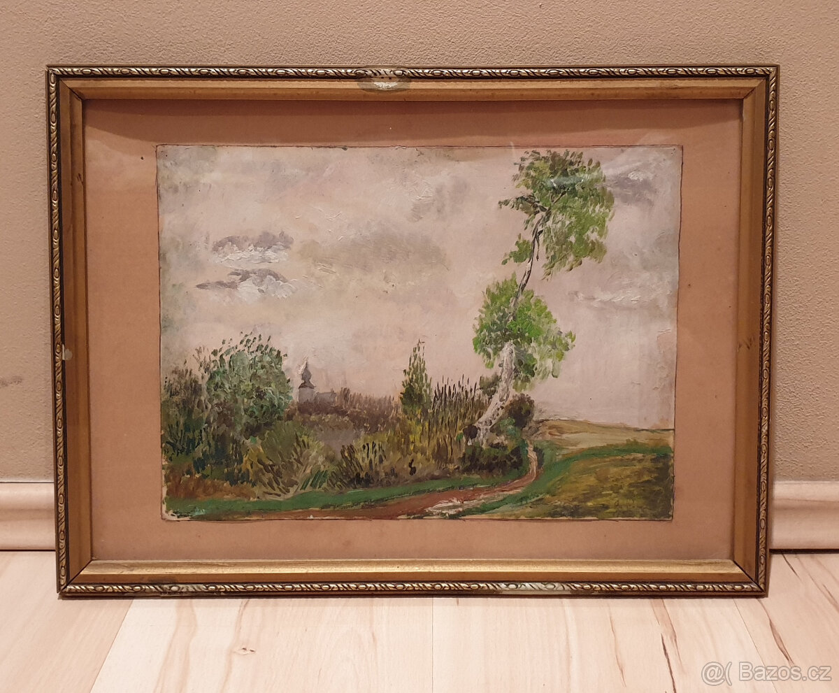 Obrazy - různé - 2