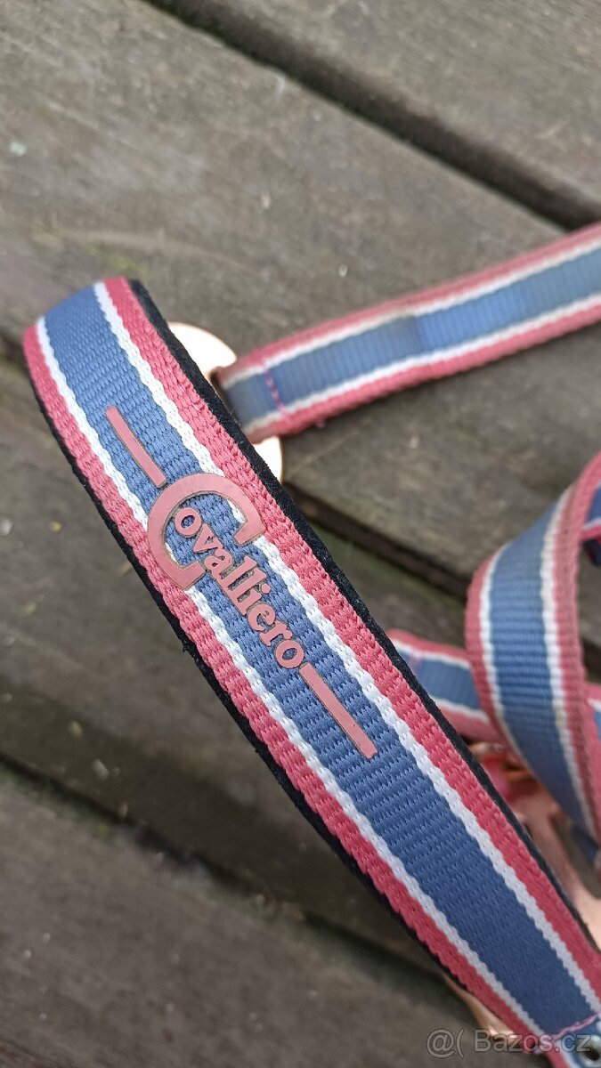 Ohlávka s vodítkem - 2