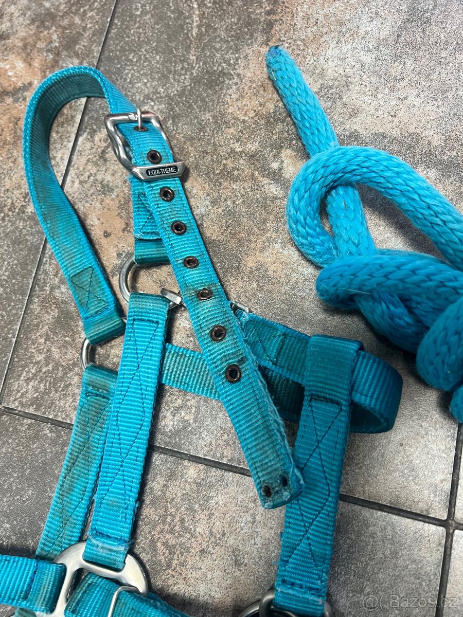 Ohlavka equitheme - 2