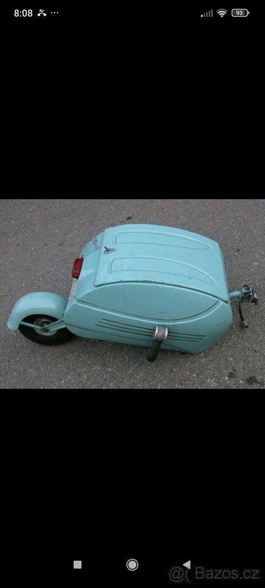 Páv blede modré barvy - 2