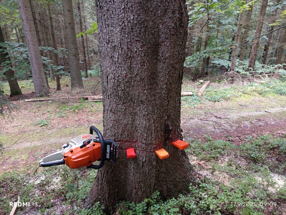 Koupím stihl MS462c - 2